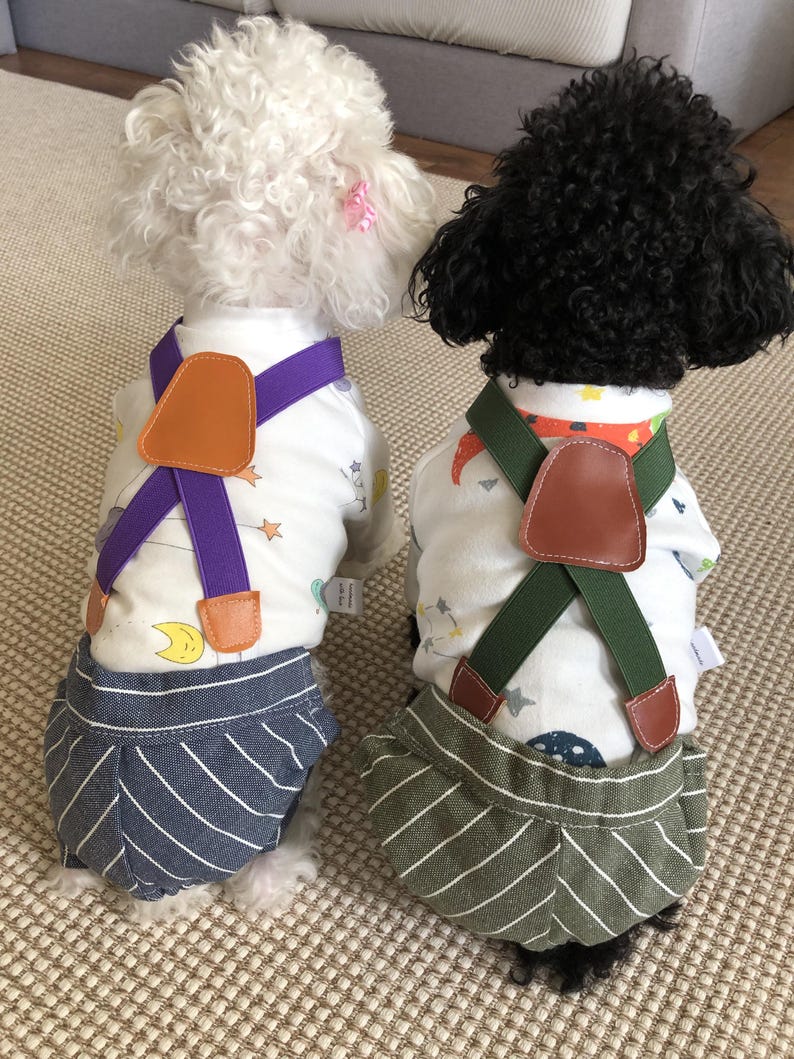 May include: Two dogs wearing white long-sleeve shirts with a celestial print, featuring attached suspenders with brown leather-like accents. One dog wears dark blue striped shorts, while the other wears olive green striped shorts.