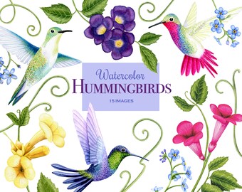 Download Hummingbird Clipart Etsy
