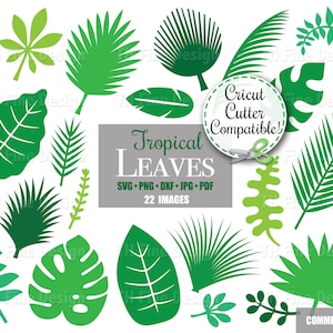 May include: A set of 22 green tropical leaf illustrations, including palm leaves, monstera leaves, and fern leaves. The illustrations are perfect for crafting, scrapbooking, and digital design. Cricut Cutter Compatible! SVG PNG DXF JPG PDF.