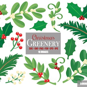 Natale Verde Fogliame Foglie Agrifoglio Vischio Bacche Inverno Pigna Files Bundle Cricut Silhouette Scaricabile Clip Clipart Svg Art