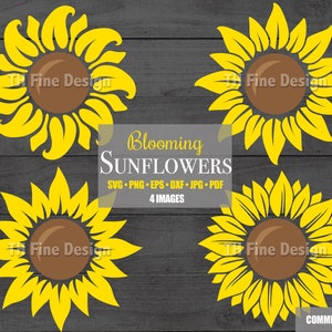 SVG Girassóis Girassóis Cricut Arquivo Sol Flor Arquivos Silhueta Flores Para Download Clipe Clipart Pdf Png Jpeg Eps Arte Vetorial