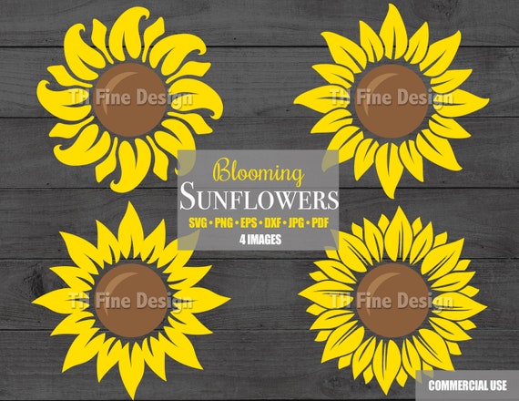 SVG Sunflowers Sunflowers Cricut File Sun Flower Files Silhouette Flowers Printable Downloadable Clip Clipart Pdf Png Jpeg Eps Vector Art