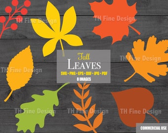 SVG Leaves Fall Autumn Maple Leaf Shape Cricut File Cutting Files Bundle Silhouette Printable Downloadable Clip Art Shapes Vector Art