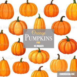 May include: A collection of sixteen digital illustrations of orange pumpkins in various shapes and sizes, featuring stems and ribbed textures. The image includes the text Orange PUMPKINS PNG 16 IMAGES and COMMERCIAL USE, with a watermark overlay.