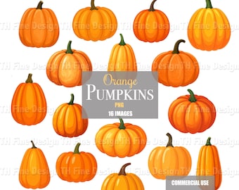 Pumpkin Clipart Downloadable Artwork Fall Autumn Thanksgiving Printable Sublimation Images Files Halloween Bright Colored Harvest Crafting