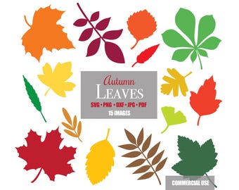 SVG Leaves Fall Autumn Maple Leaf Shape Cricut File Cutting Files Bundle Silhouette Printable Downloadable Clip Clipart Shapes Vector Art