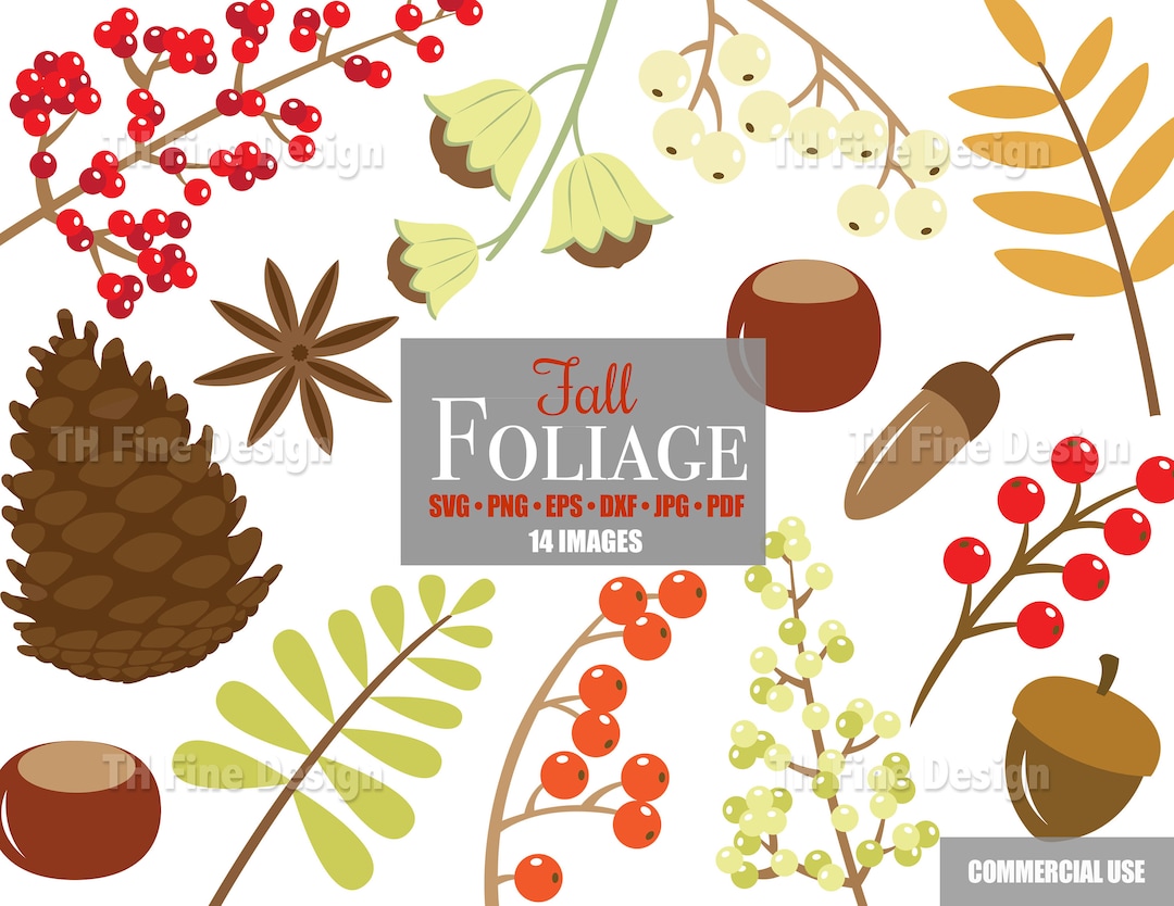 Fall Autumn Nuts Berries Foliage SVG Cricut File Cutting Files Bundle ...