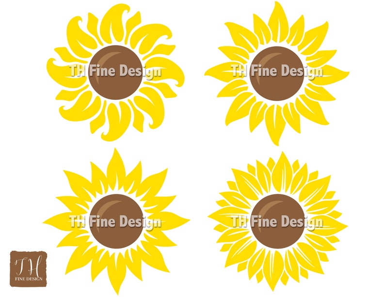 Puede incluir: Cuatro ilustraciones de girasoles amarillos con centros marrones. El texto "TH Fine Design" est&aacute; en cada girasol.