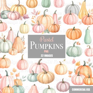 Pastelowa dynia Clipart Jesienne kwiaty Jesienne obrazy Boho Planer scrapbookingu Przezroczyste tło Pliki do pobrania do druku Naklejki Clipart