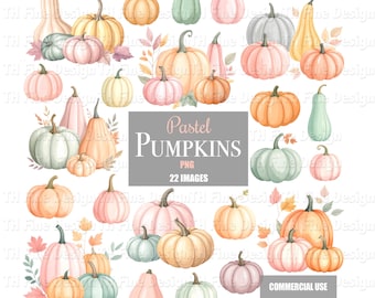 Pastel Pumpkin Clipart Fall Floral Autumn Images Boho Scrapbook Planner Transparent Background Downloadable Printable Files Clipart Stickers