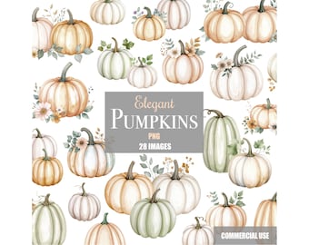 PNG Elegante Zucca Clip Art Immagini Floreali Autunnali Zucche da Matrimonio Girasoli File Stampabili Scaricabili Clipart Adesivi Sublimazione