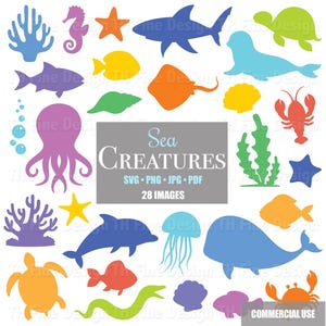 Siluetas de criaturas marinas, vida oceánica, imágenes prediseñadas descargables, peces, ballenas, tiburones, tortugas, langostas, medusas, conchas, rayas, focas, estrellas de mar, caballitos de mar PNG