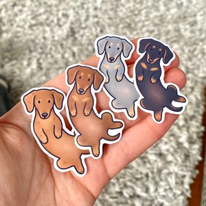 Dachshund Stickers Cute Dog Pet Cartoon Portrait Illustration Vinyl Waterproof Dye Cut Stickers