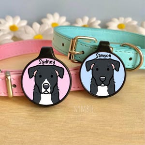 Borador Dog Tag Cute Breed Cartoon Personalised Portrait Silent Pet Name ID Tags | nymbie