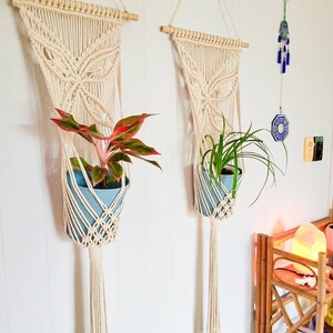May include: Two macrame plant hangers with wooden dowels, each holding a potted plant. The hangers are cream coloured and have a butterfly design. The plants are in blue pots.