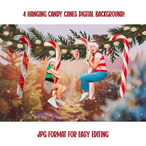 4 Hanging Candy Canes Digital Background, Christmas Digital Backdrop, Festive composite for photography. Funny Christmas composite