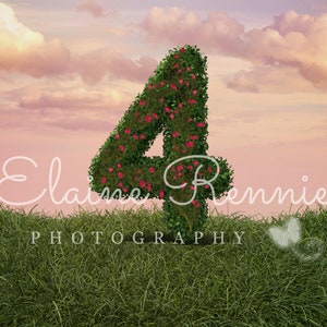 Birthday number 4 Digital Background, four digital backdrop, composite, photographers