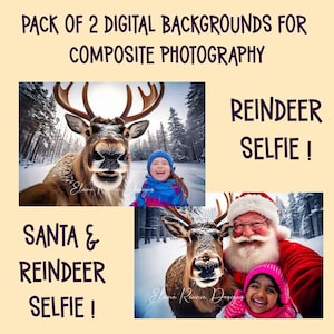 Pack of 2 Christmas Selfie Digital Backgrounds, digital backdrop, Funny Santa and Reindeer Selfie, Christmas in winter composite photography