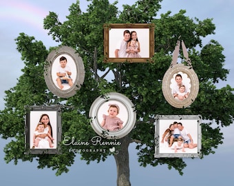 Family Tree Digital Background, Family composite, digital backdrop, Family tree backdrop, composite for photography