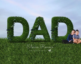 Happy Fathers Day Digital Background (DAD), Digital Backdrop, Dad Template, composite, photographers