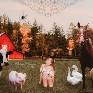 Charlotte&#39;s Web Digital Background, Charlotte&#39;s web digital backdrop, farm animals background, composites, photographers