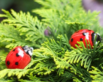 Ladybug 3 Pcs. - ceramic flower for home, garden and creative decoration and gift - handmade