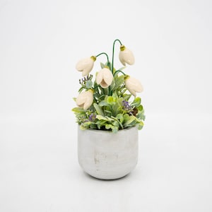 Può includere: Un vaso di ceramica bianca con una piccola disposizione di fiori bianchi di bucaneve e fogliame verde.