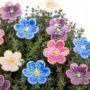 Op de afbeelding: Assortiment van keramische bloemen-tuinmarkeringen in verschillende kleuren, waaronder roze, paars, blauw en wit. De markeringen zijn bloemvormig met vijf bloemblaadjes en een gele kern.