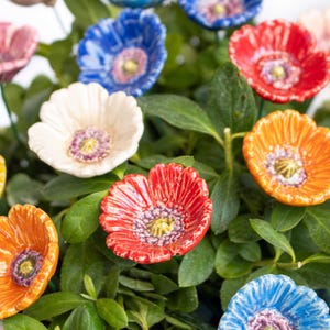 Ceramic Little Garden Poppy 7 Pcs. - ceramic flower for home, garden, creative decoration and gift – handmade