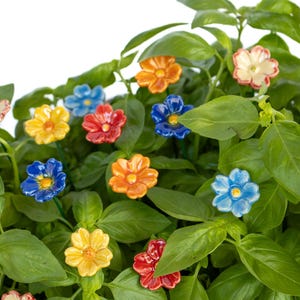 Op de afbeelding: Een close-up van een plant in een pot met kleurrijke keramische bloemenaccenten. De bloemen zijn in tinten blauw, geel, rood en oranje. De plant is groen en bladrijk.