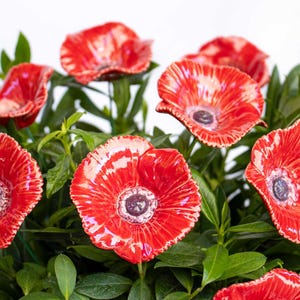Poppy 5 Pcs. - ceramic flower for home, garden, creative decoration and gift – handmade