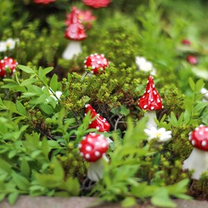Little Mushroom 7 Pcs. ceramic flower for home, garden, creative decoration and gift handmade image 3