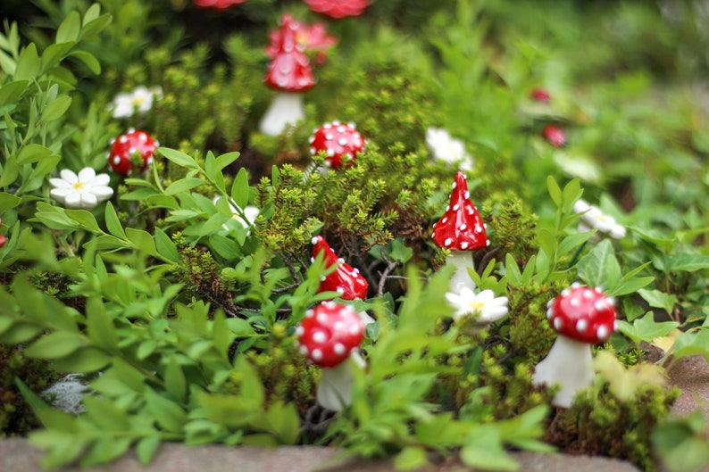 Little Mushroom 7 Pcs. ceramic flower for home, garden, creative decoration and gift handmade image 3