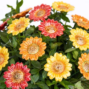 Ceramic Decor Sunflower 5 Pcs. - ceramic flower for home, garden, creative decoration and gift – handmade