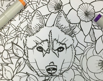 Husky Coloring Page Etsy