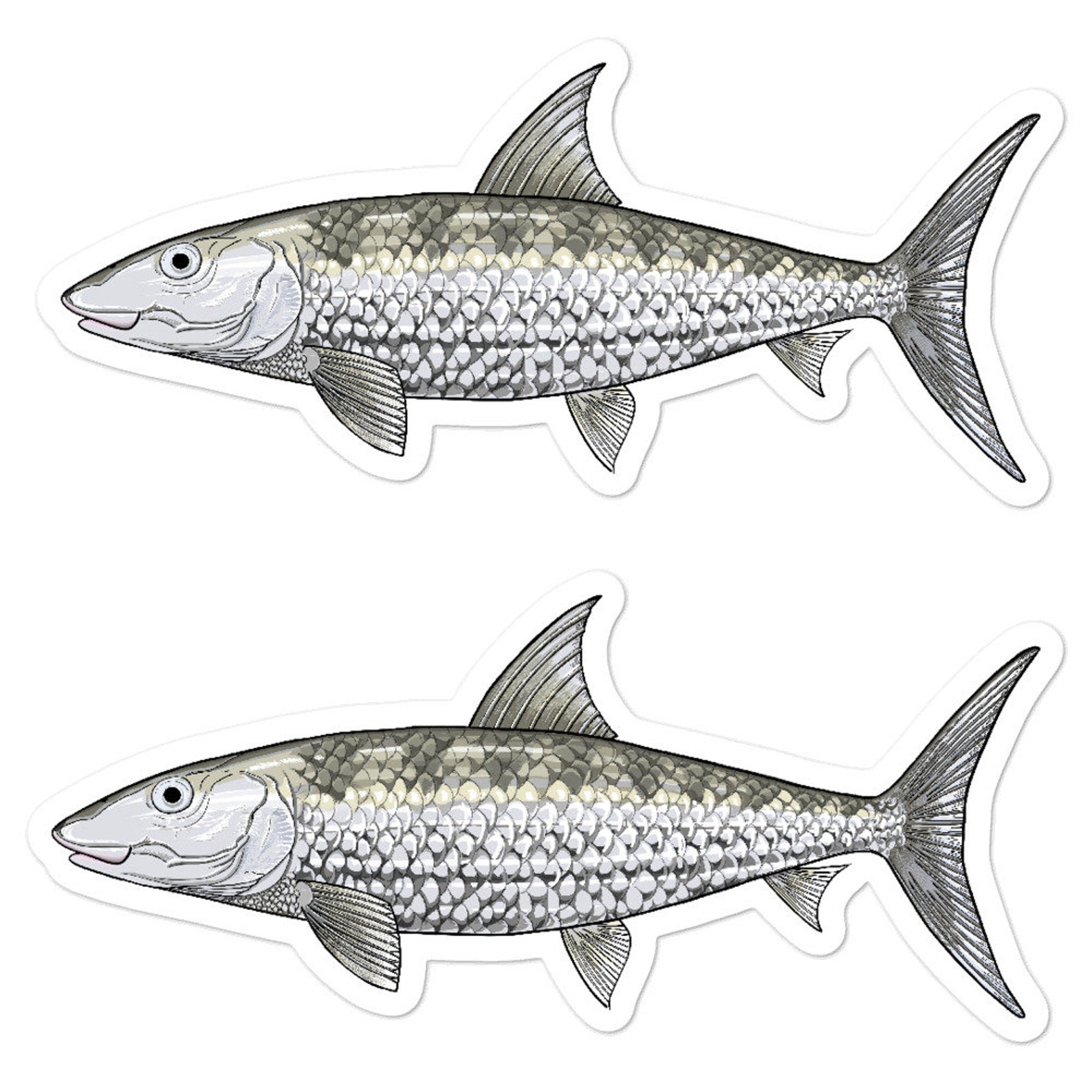 Bonefish Decals Fish Sticker Vinyl Waterproof 2-piece pack | Etsy
