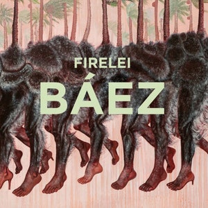 Firelei Báez, Originales Ausstellungsmuseumsplakat