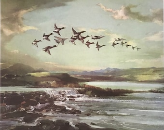 Gee Vaucher, Oh America, Original Lithograph Print, Signed