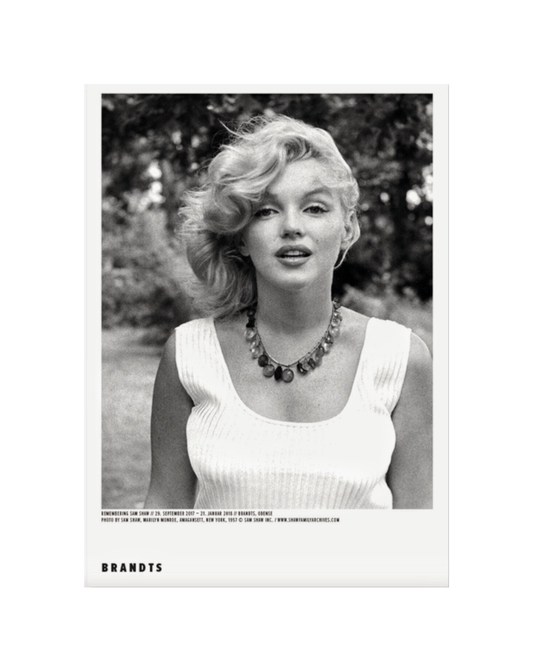 マリリン モンロー Amagansett　1957/ポスター Sam Shaw - 