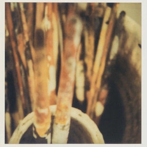 Cy Twombly, Original Exhibition Museum Poster. 2012.