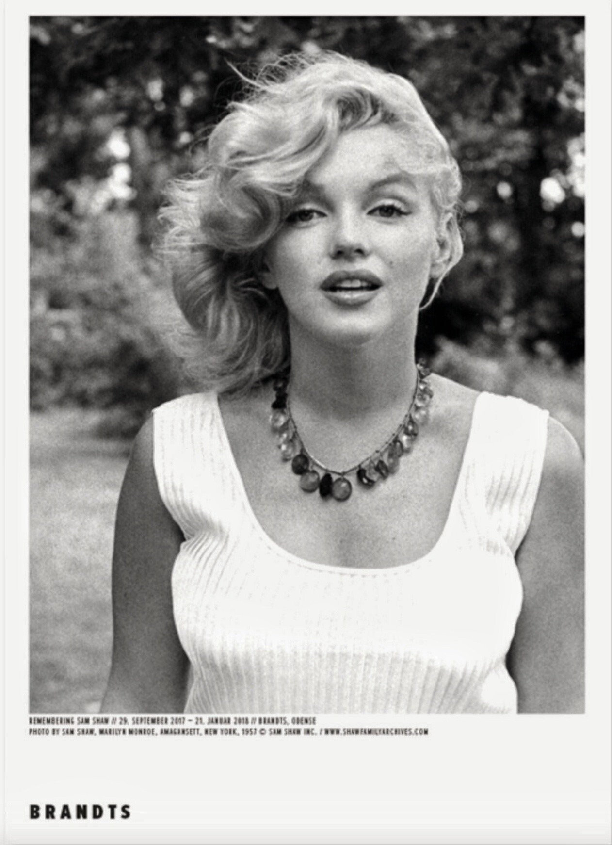 マリリン モンロー Amagansett　1957/ポスター マリリン モンロー Amagansett 1957/ポスター