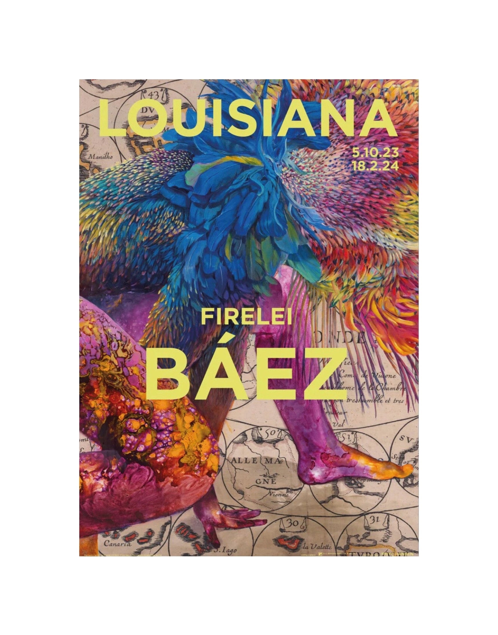 Firelei Báez, Original Exhibition Museum Poster - Etsy