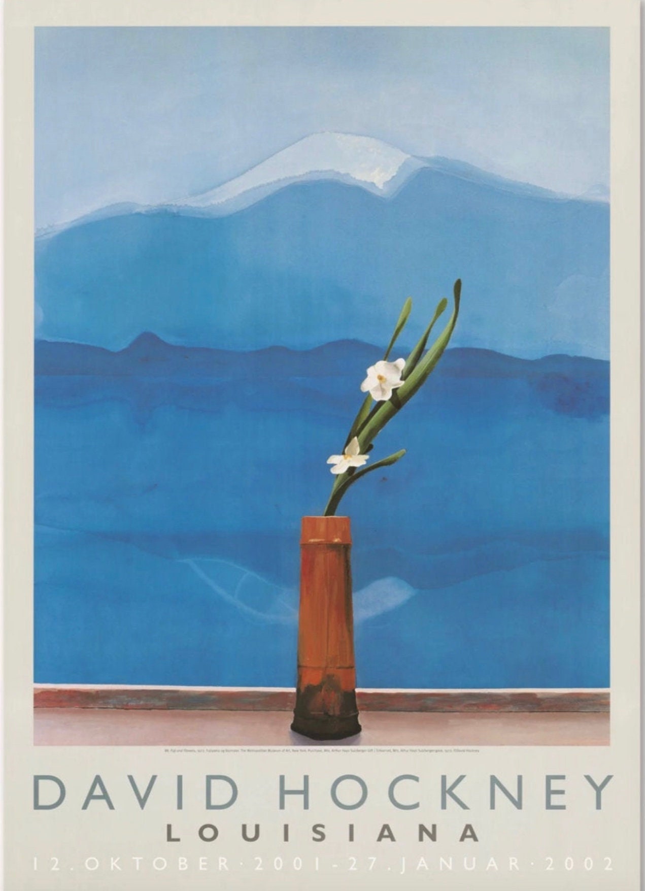 David Hockney, Original Exhibition Museum Poster - Etsy