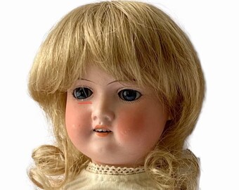 【baby_mimi様ご専用】アンティーク アメリカンサルーク 121×62.2 baby_mimi様ご専用】アンティーク アメリカンサルーク 121×62.2 【公式