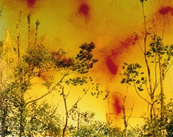 Icestorm 2001/ティルマンズ/ポスター il_340x270.4289740881_jv8k.jpg