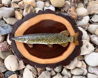 Mini Northern Pike Plaque — Collectible Handmade Wood Carved Fish Plaque by Ryan Ebert