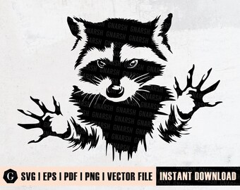 Download Raccoon Svg Etsy