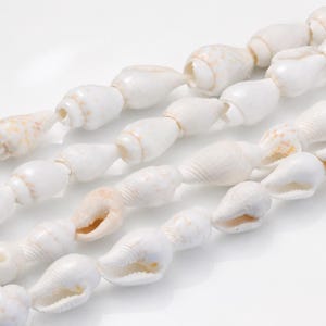 May include: A strand of small, white, polished sea shells arranged in a linear sequence. Each shell features a smooth, tapered shape with subtle, light tan or beige speckling and natural textures, creating a continuous, uniform decorative string.