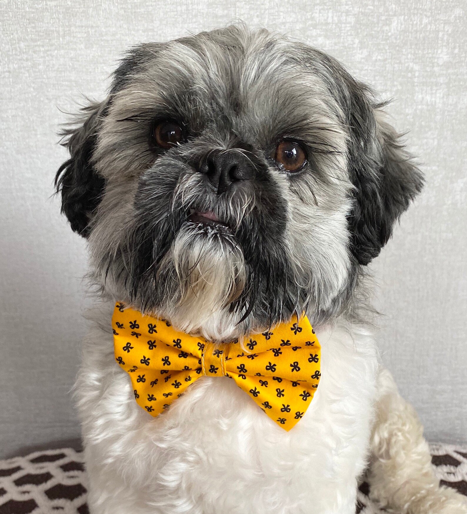 Senf farbige Fliege atemberaubende Schleife Hund Fliege Etsy