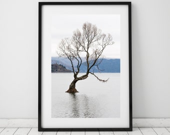 Wanaka Tree - Digital Download - Lake Wanaka NZ - New Zealand Photography - NZ Photo Print - Wall Decor - Travel Print - New Zealand Poster